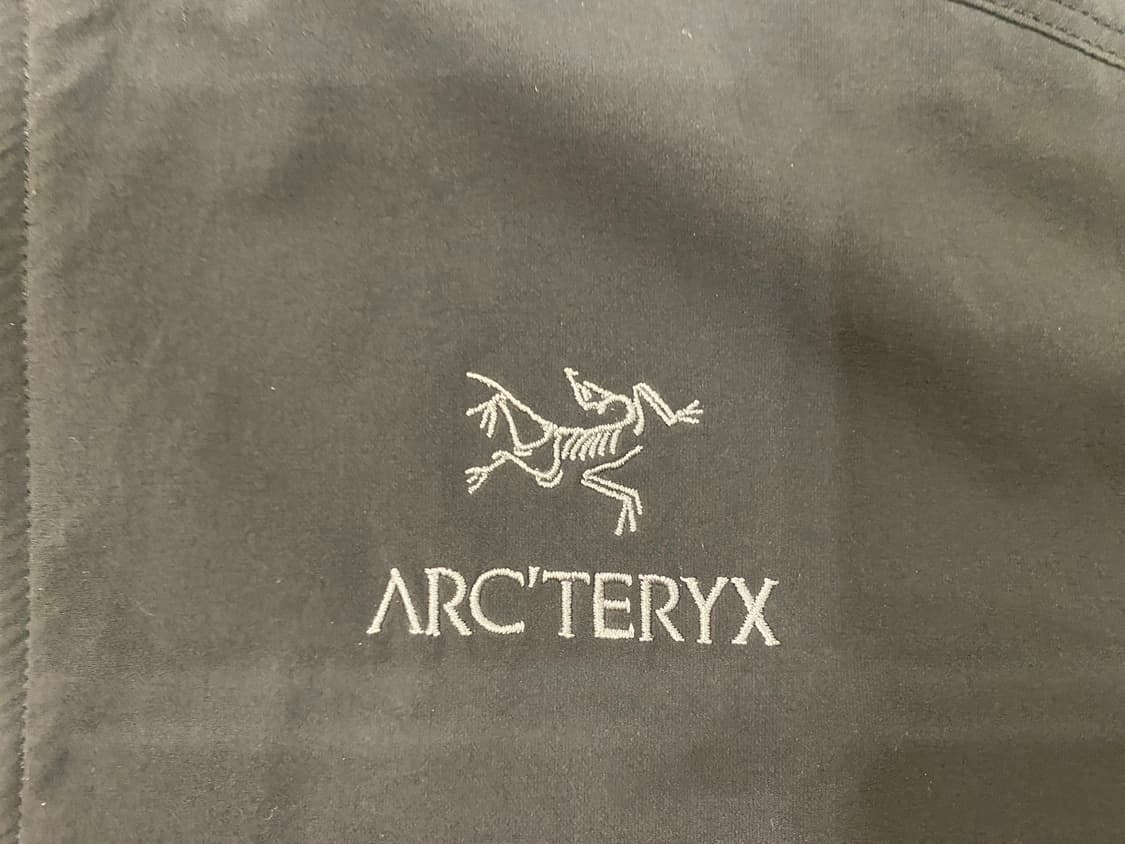 아크테릭스 감마 SL 후디 블랙 상품이미지6