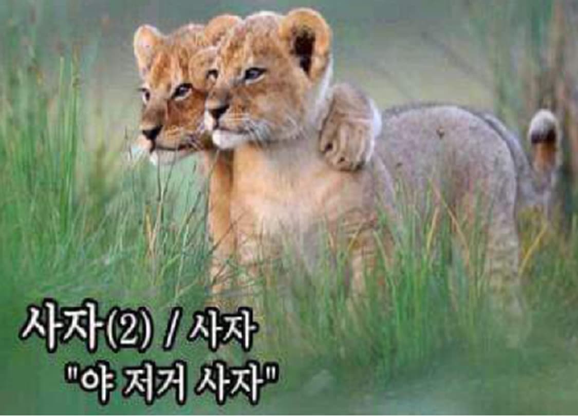 10/2(목) 까지 전상품 배송비 포함 가격+🔥에눌제의 까지 상품이미지1