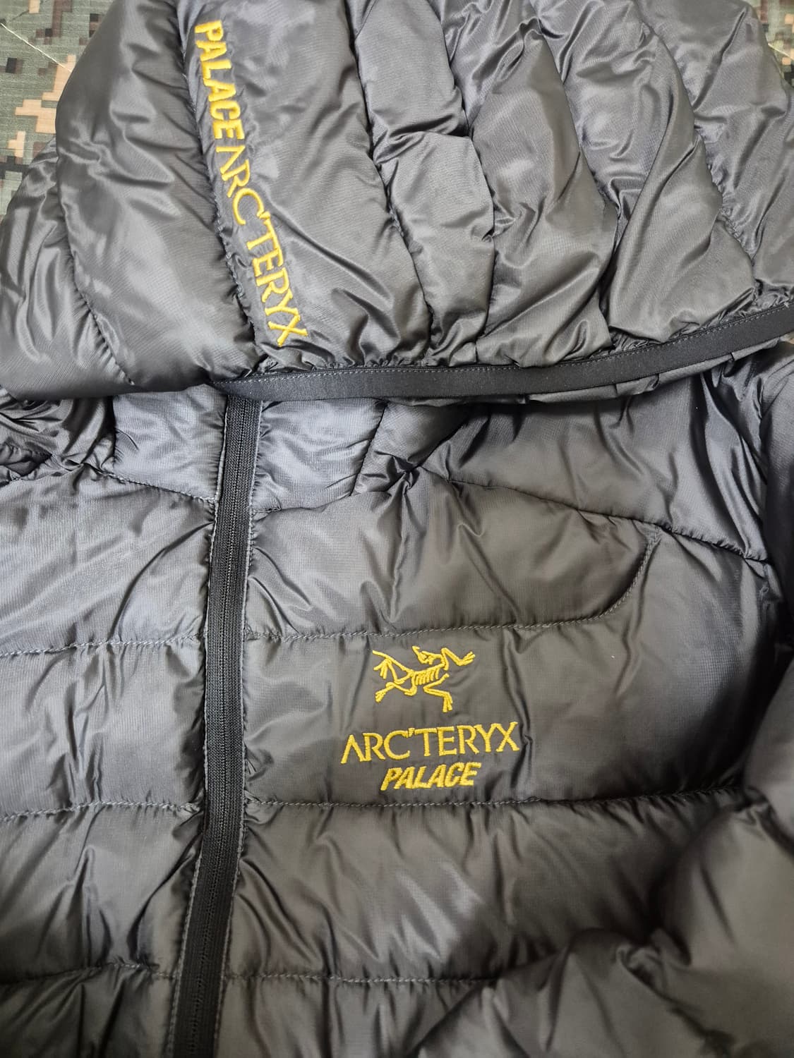 M) 아크테릭스 팔라스 세륨 lt 후디 상품이미지9