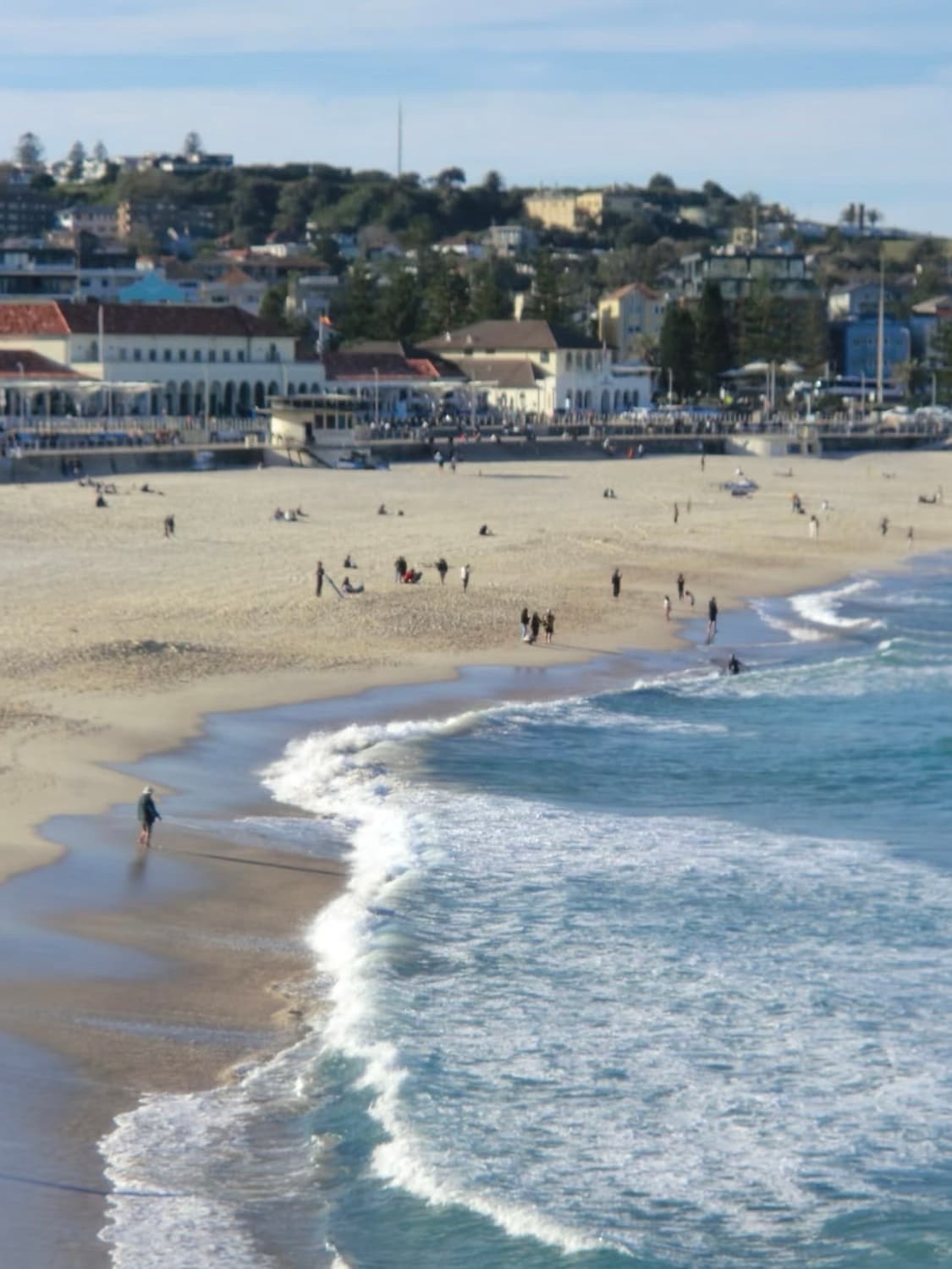 [*희귀⚡️/작례O] 카시오 엑슬림 EX-Z800 디지털 카메라 디카 상품이미지8