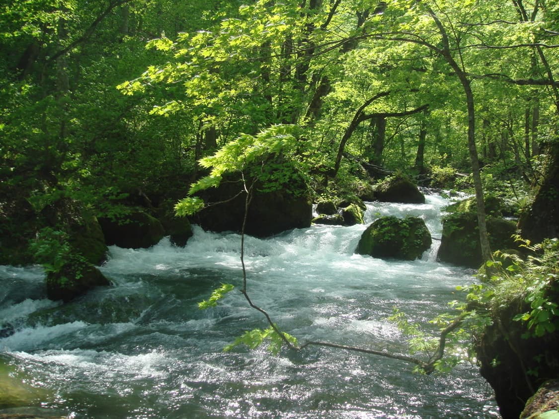 소니 사이버샷 SONY Cyber-shot DSC-T50 실버 상품이미지3