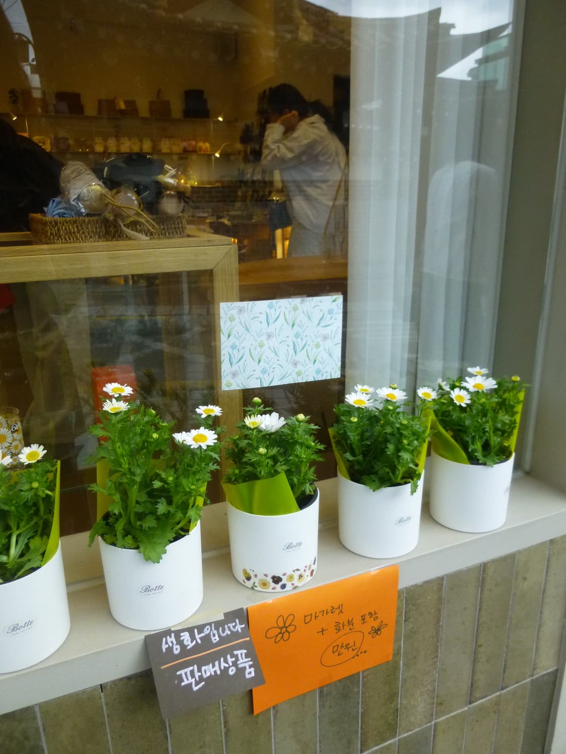 파니소닉 루믹스 DMC-SZ7 작례O 상품이미지6