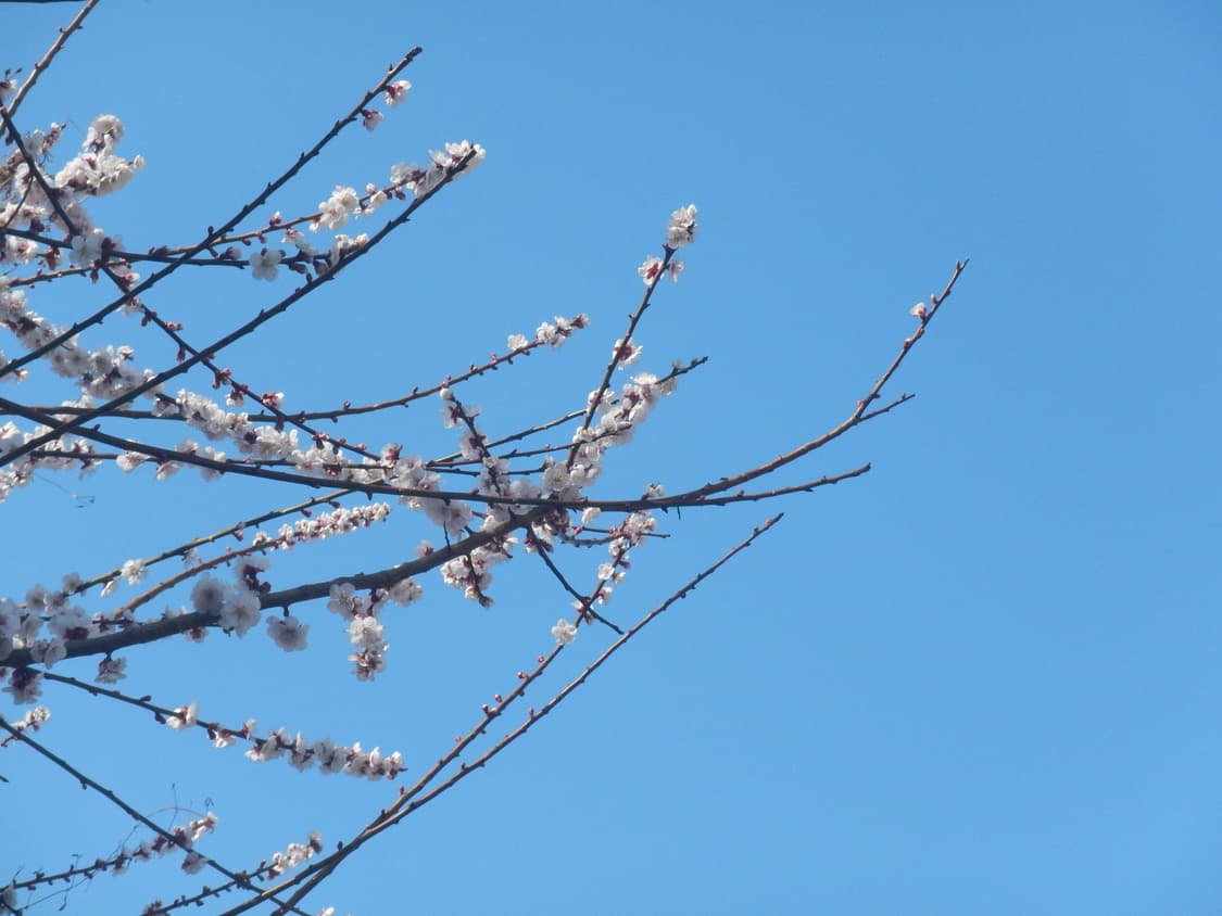 nikon coolpix aw110 니콘 쿨픽스 팝니다(작례O) 상품이미지3