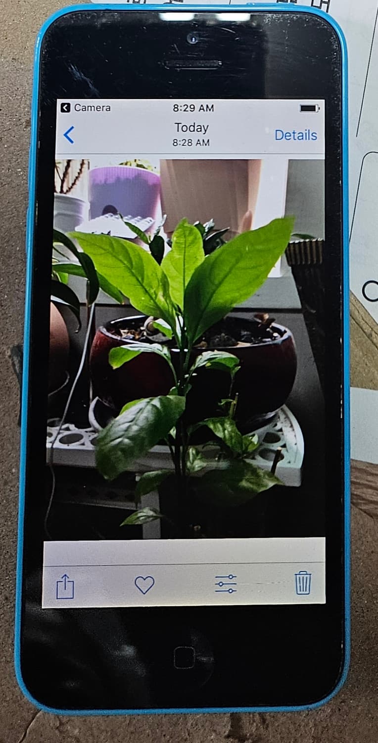 아이폰 5c 상품이미지6