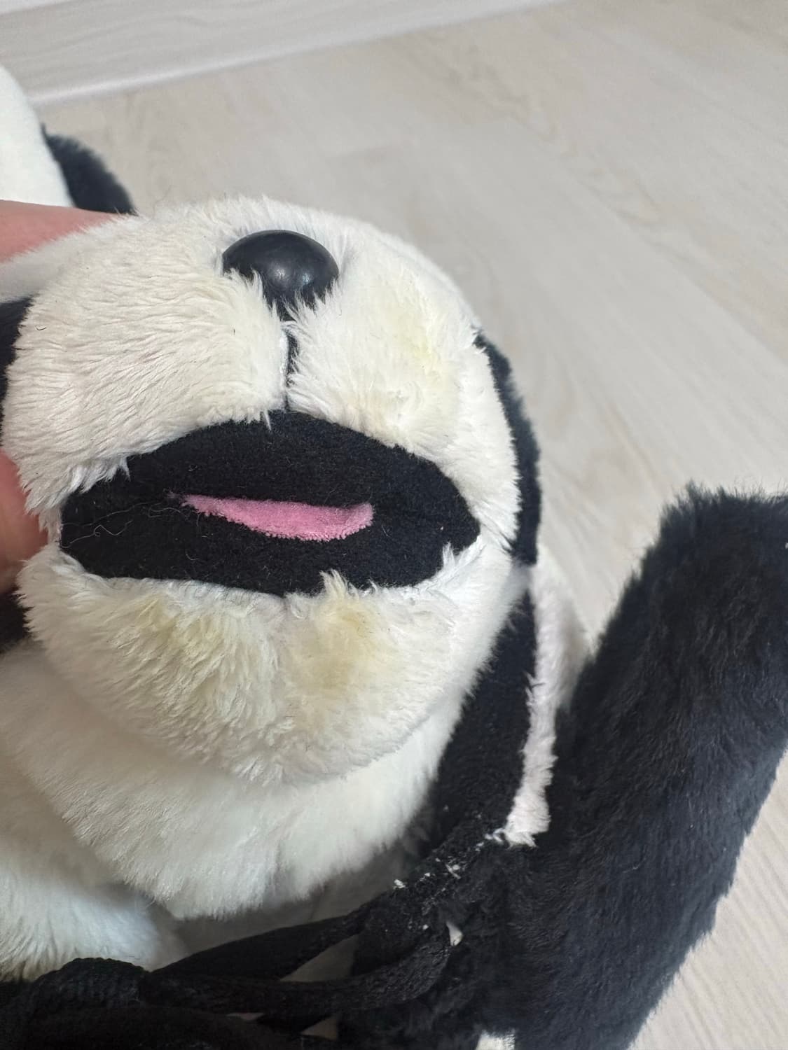 제레미스캇 베어 상품이미지4