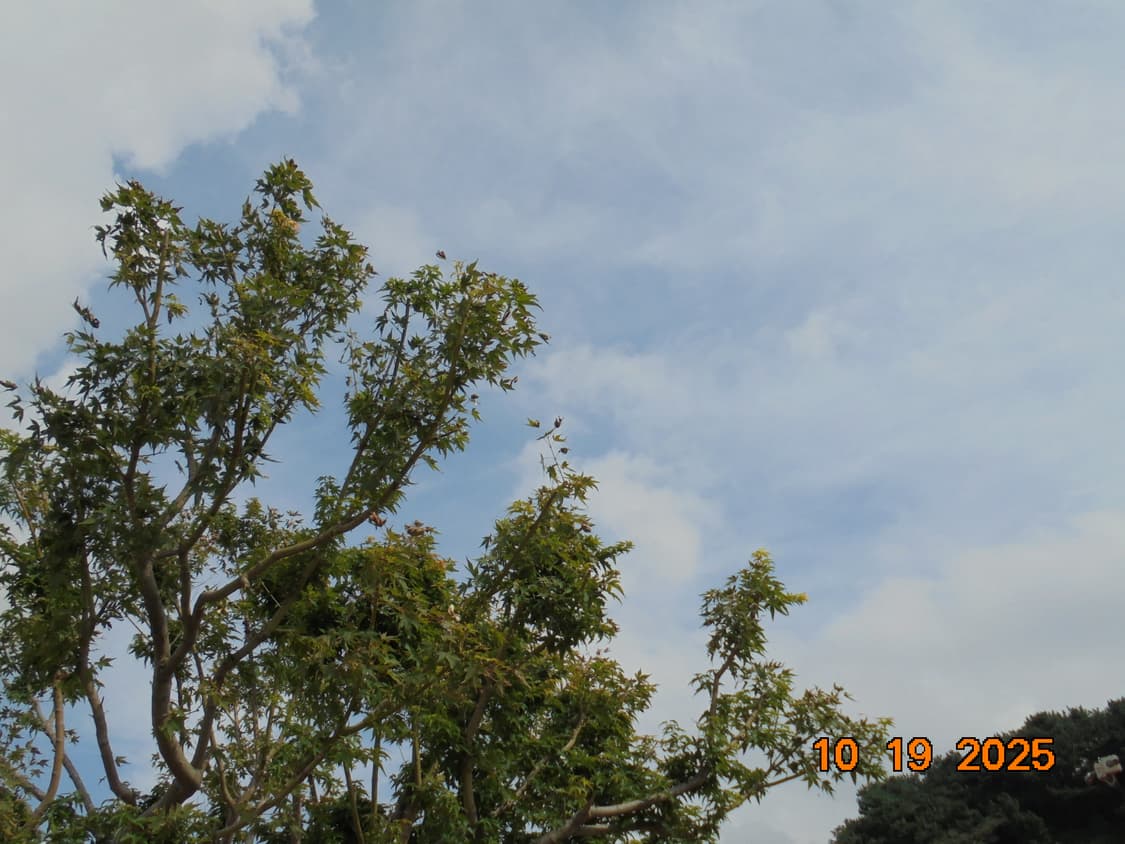 소니 사이버샷 dsc-w810 상품이미지9