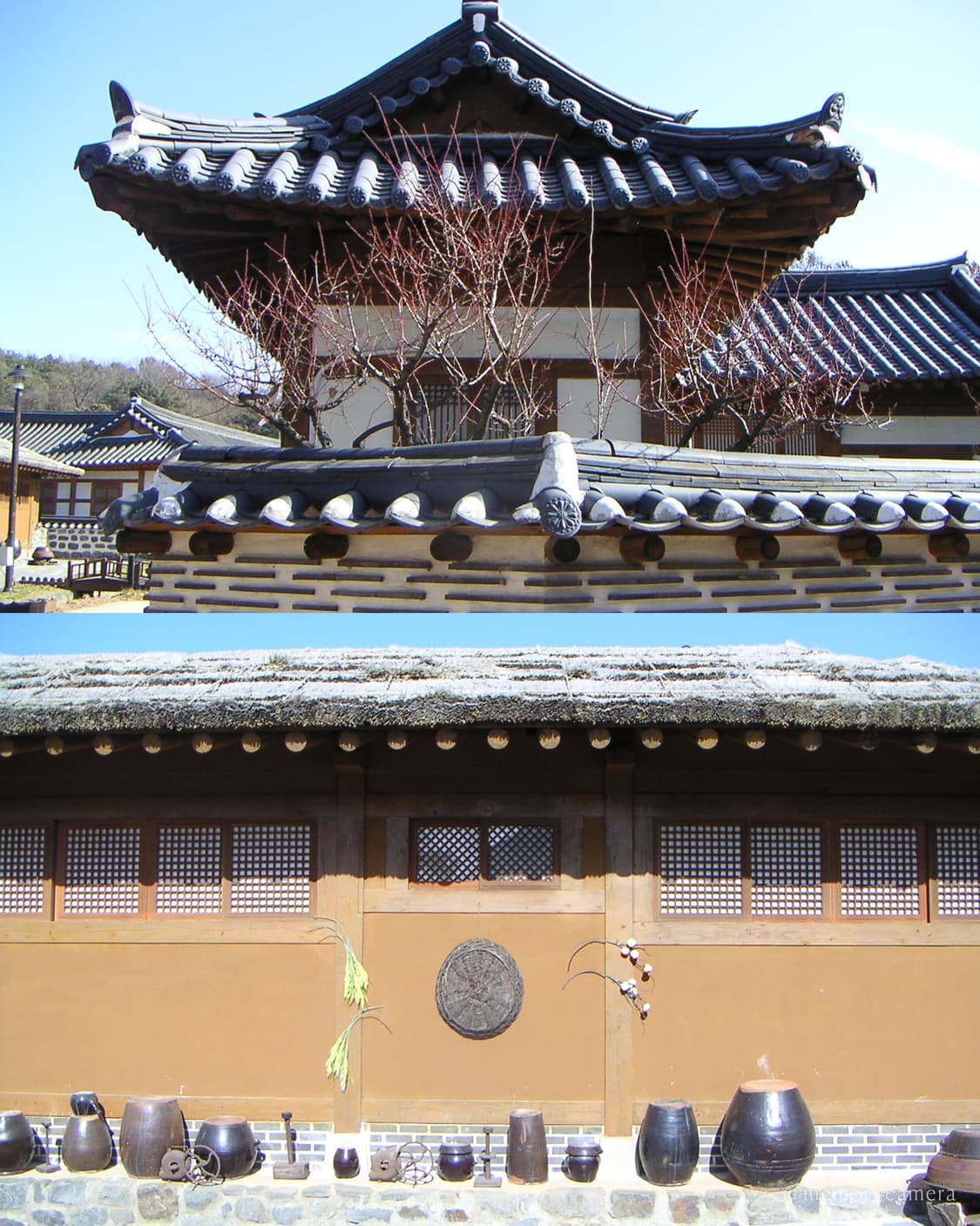 희귀컬러🩵MINOLTA DiMAGE X20 미놀타 디카 카메라 상품이미지9