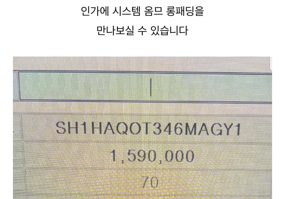 100~105/ 시스템옴므 스웨이드 블렌딩 구스 해비 롱패딩 상품이미지2