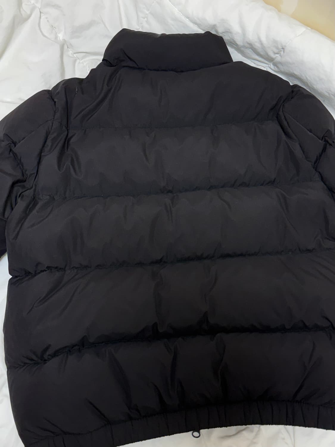 Lee패딩 덕다운 상품이미지3