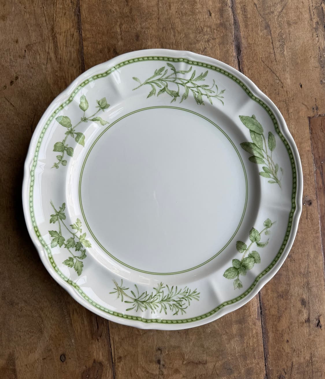 리차드 지노리 Richard Ginori (Fresh Herbs) 디너  상품이미지9