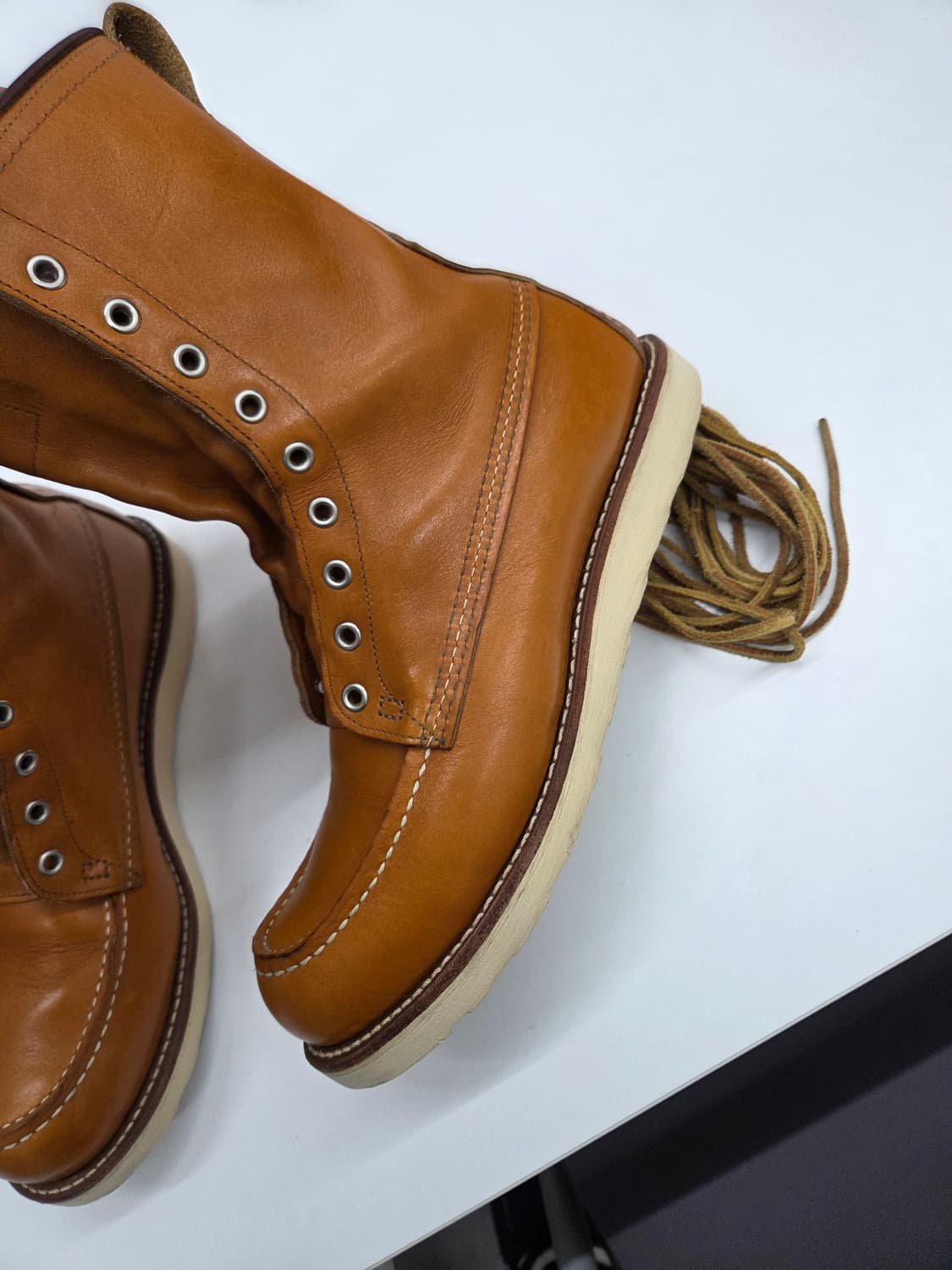 레드윙 9877 아이리쉬세터 9.5 d  상품이미지3