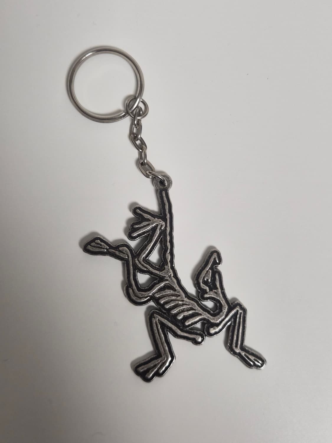 아크테릭스 메탈키링 상품이미지2