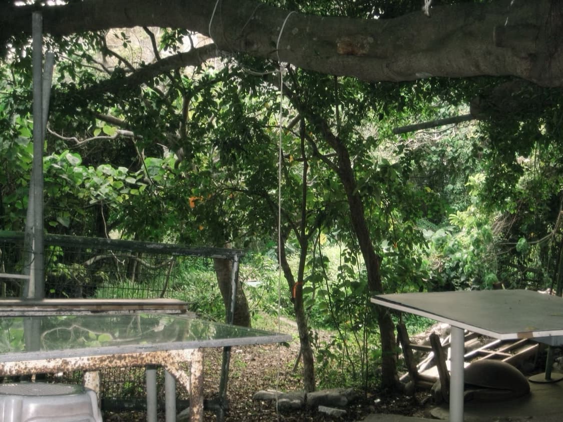 [*민트급풀박!⚡️/작례O] 캐논 IXY80 (IXUS65) 카메라 상품이미지10