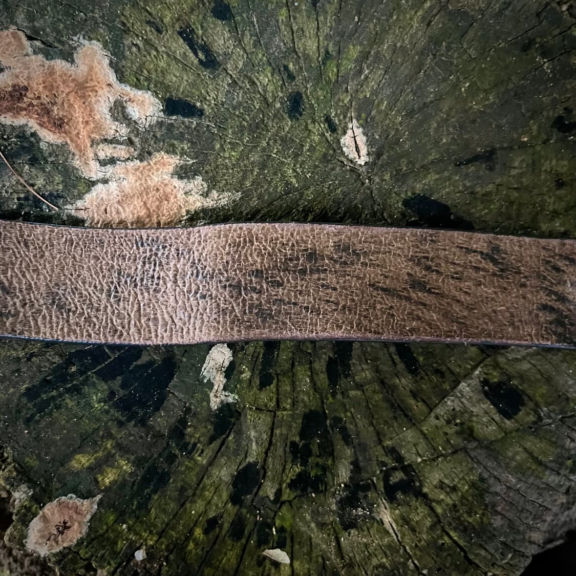 Basixx 스톤 워시 리얼 레더 벨트 상품이미지3