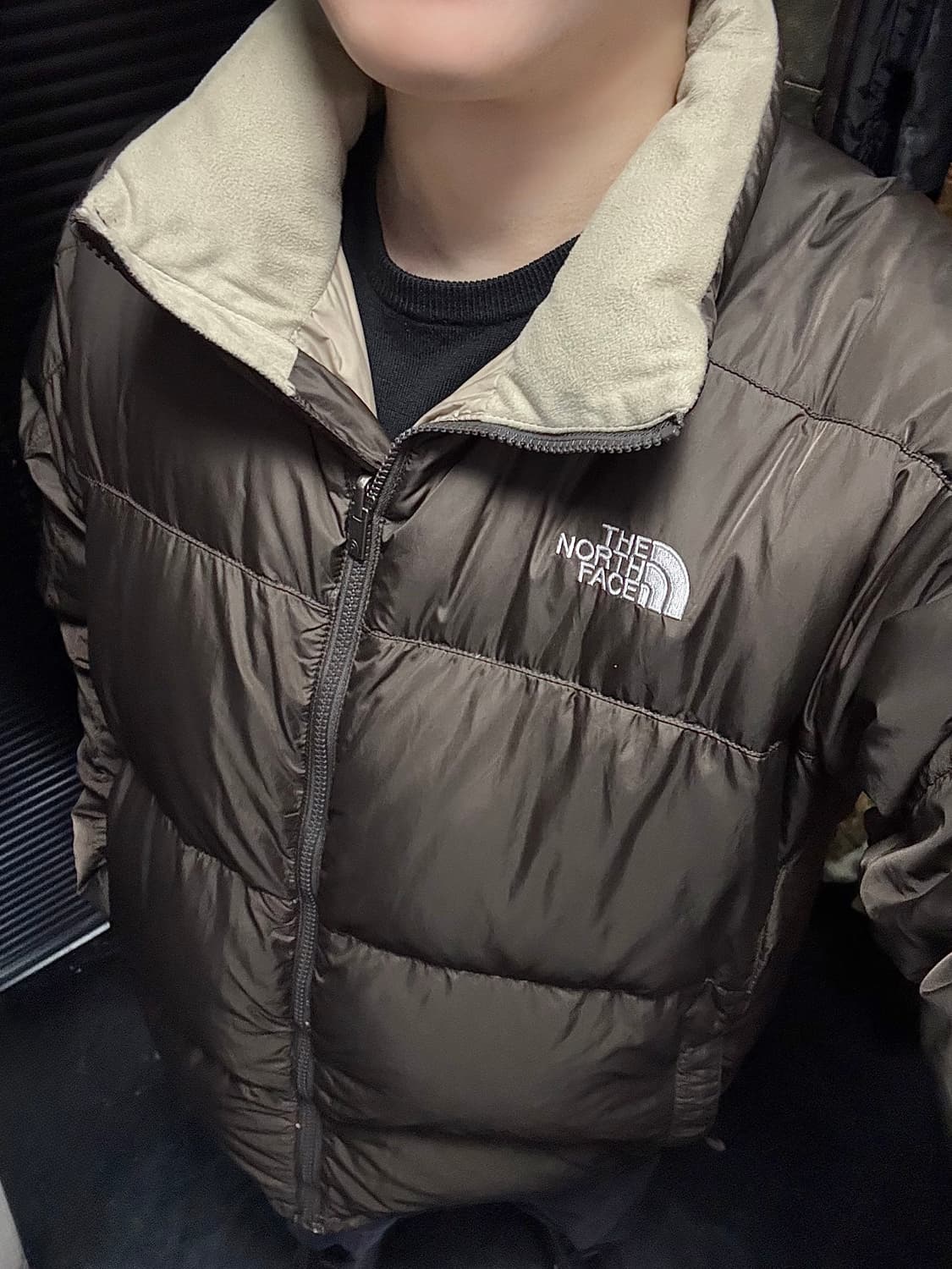 노스페이스 브라운 갈색 베이지 550 거위 구스다운 패딩 눕시 L 100 상품이미지1