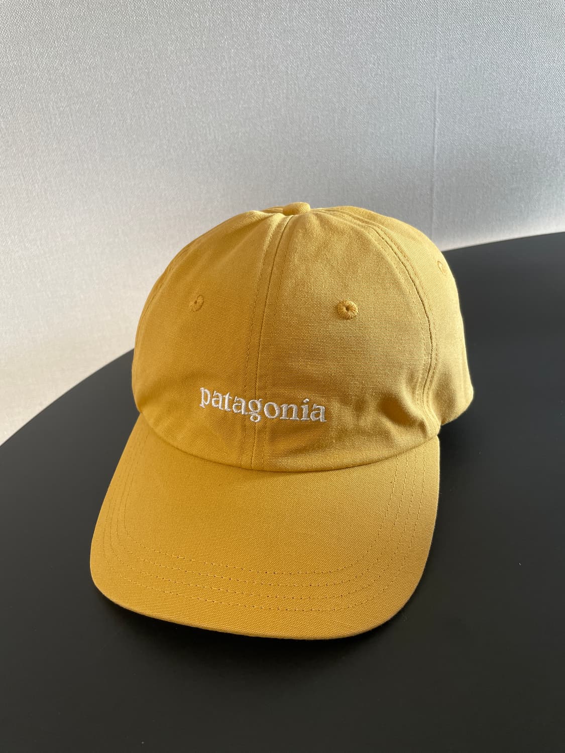 파타고니아 볼캡 상품이미지1