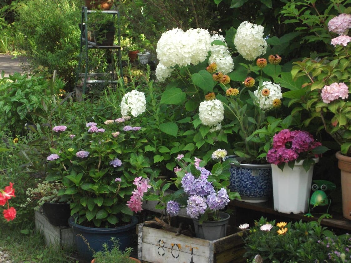 후지필름 파인픽스 j30 빈티지 카메라(작례O) 상품이미지9