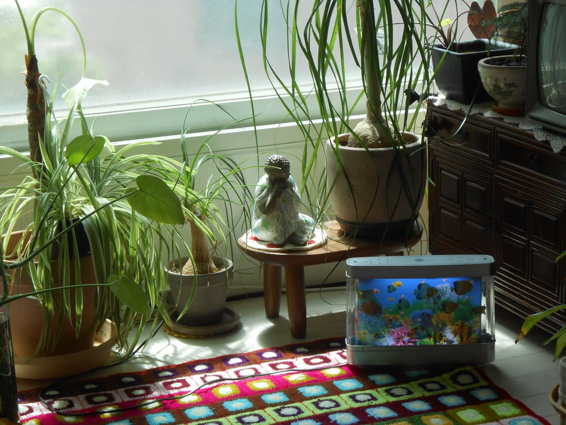 개인결제창 상품이미지1