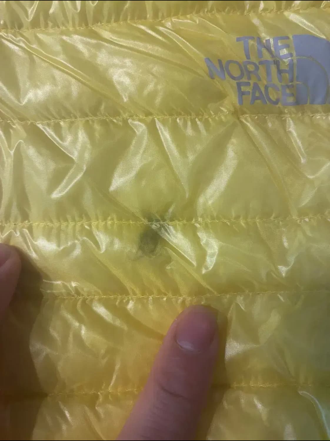 M) 노스페이스 구스 900 경량 패딩 레몬 상품이미지6
