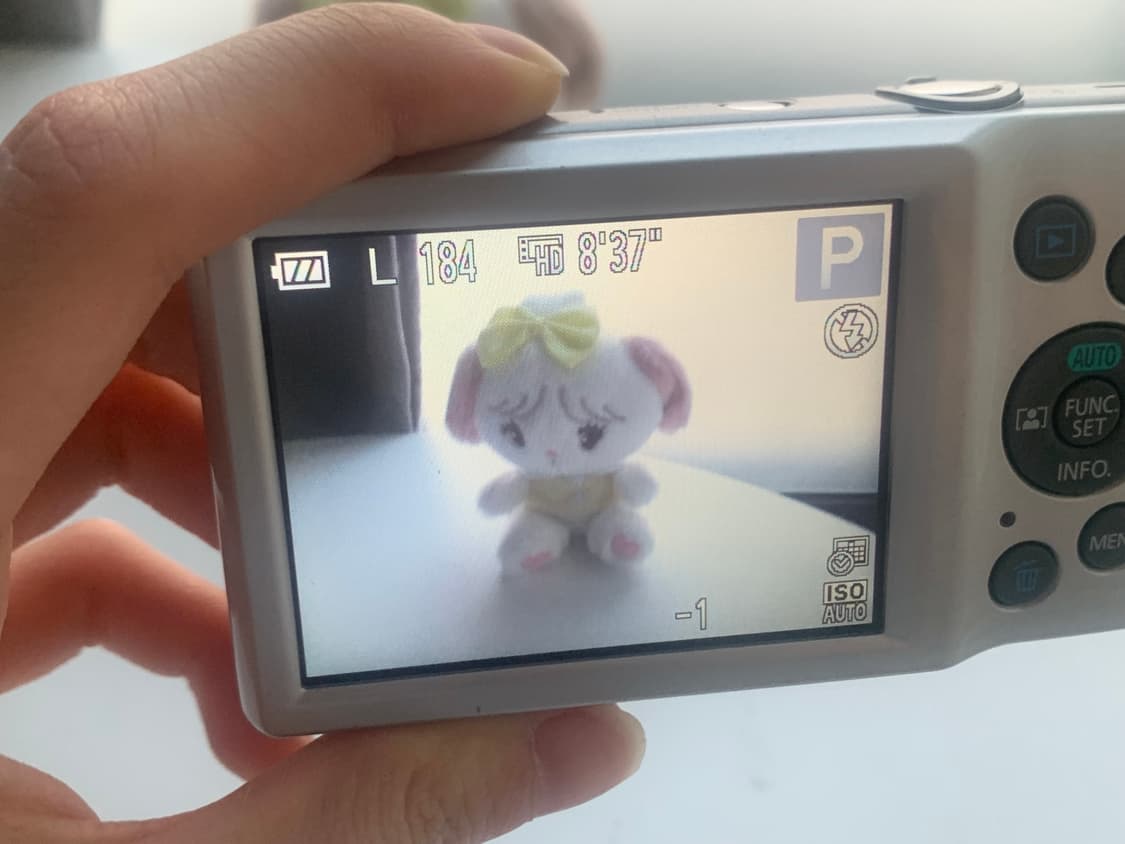 캐논 익서스 175 빈티지디카 상품이미지9