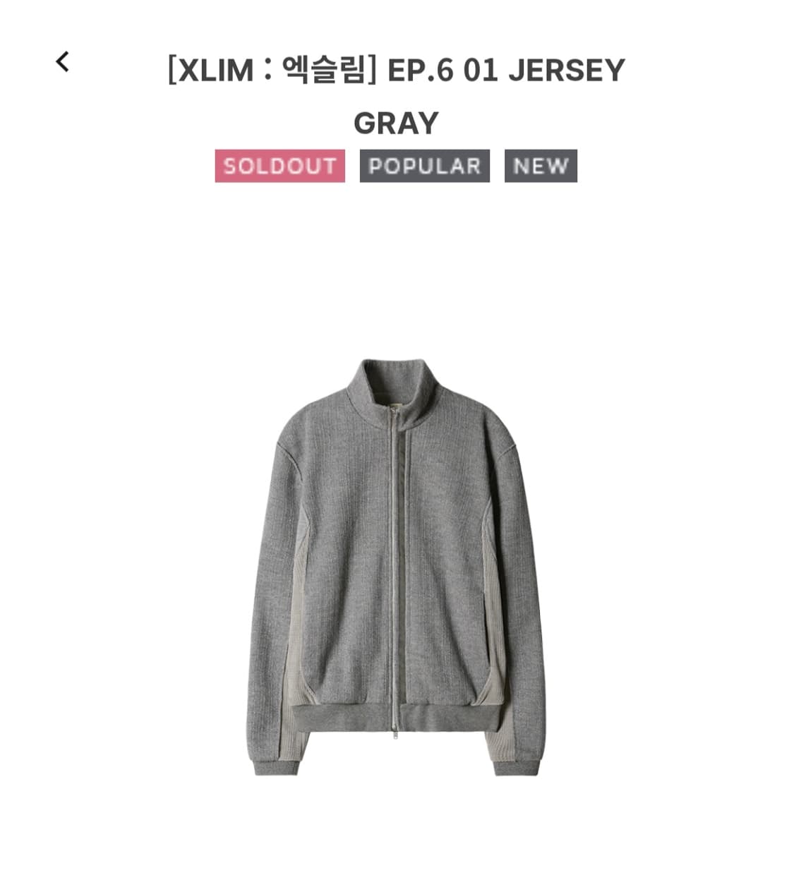 XLIM EP6 JERSEY GRAY 상품이미지1