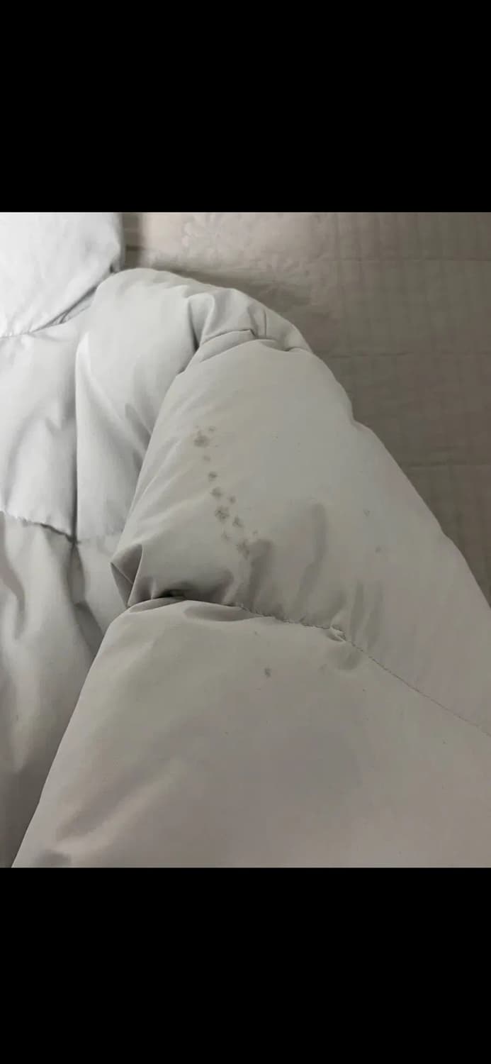 [s] 인사일런스 에센셜 다운 자켓 상품이미지4