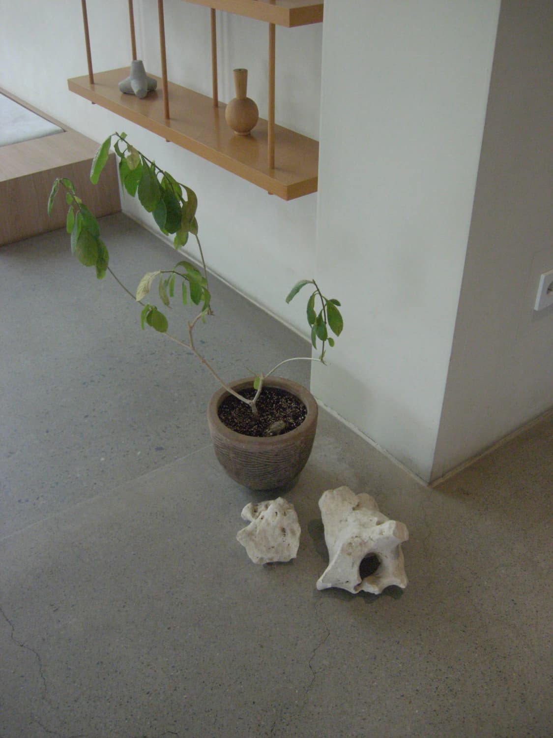 니콘 쿨픽스 P4 박스셋 (작례o) 상품이미지5