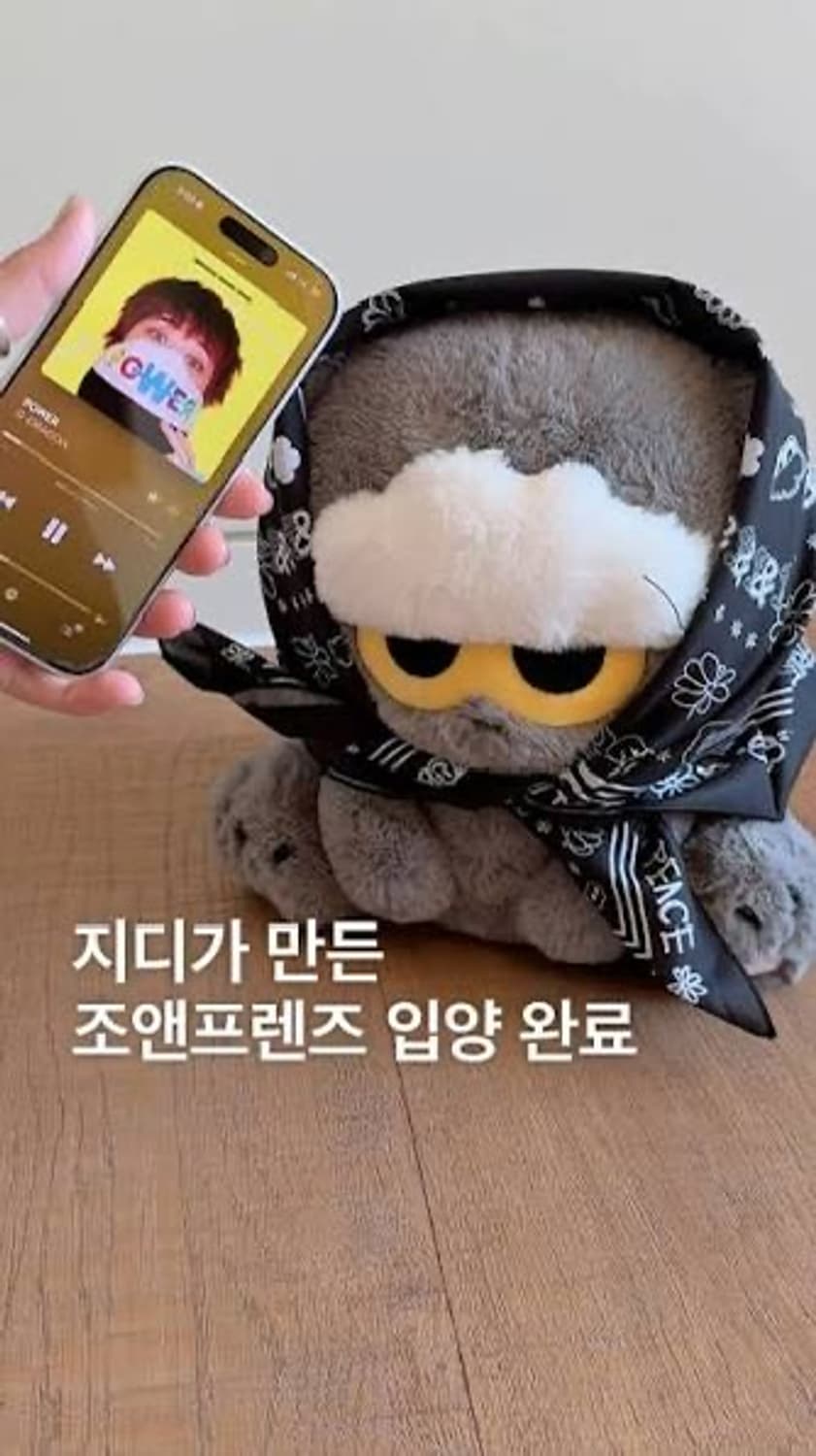 지디 조아 인형 미디엄 사이즈 새상품!! 상품이미지2