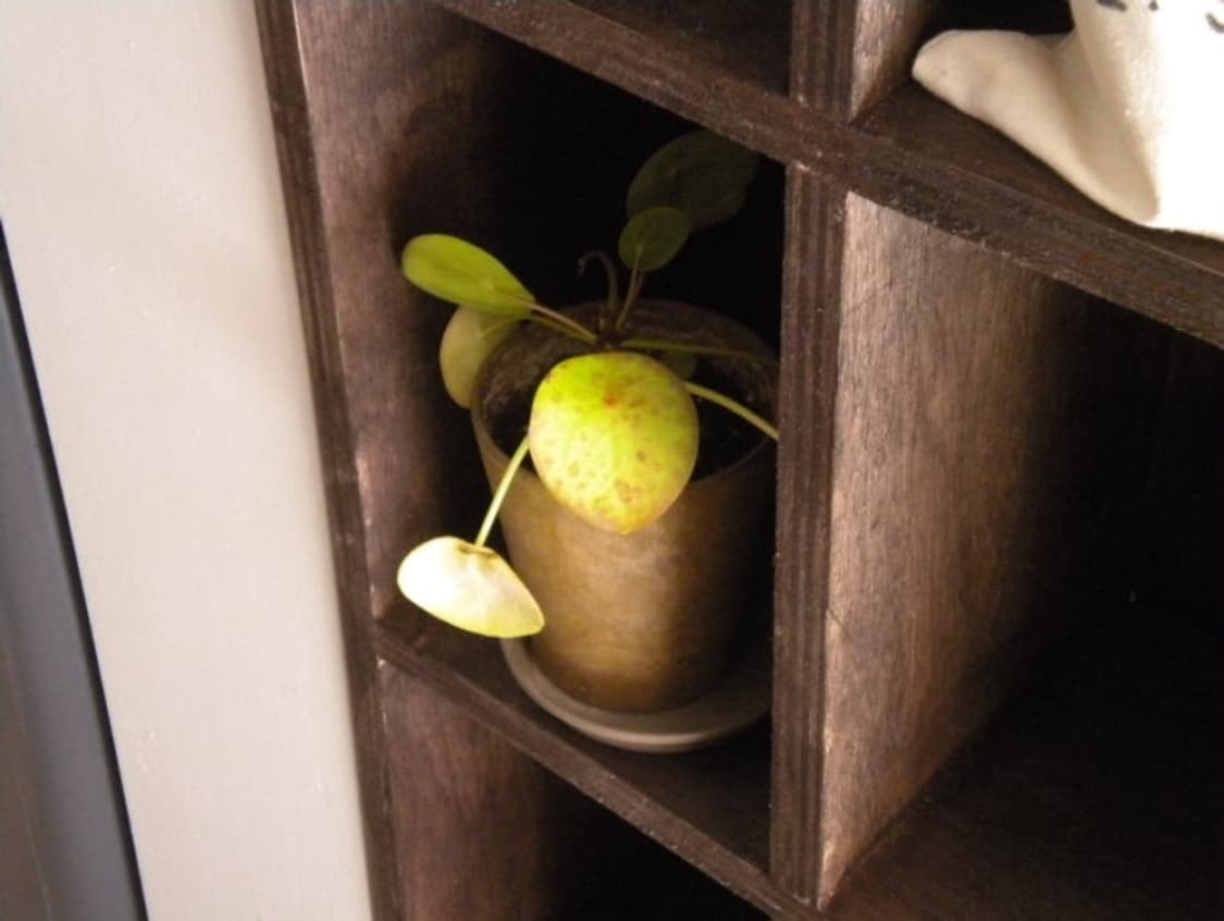 니콘 쿨픽스 S203 블랙 디카 (빈티지 카메라) 상품이미지9