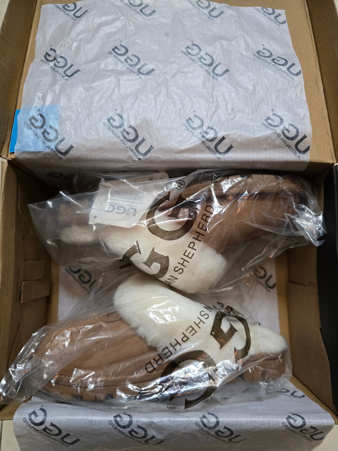 호주어그 코케트 체스트넛 260사이즈 상품이미지3