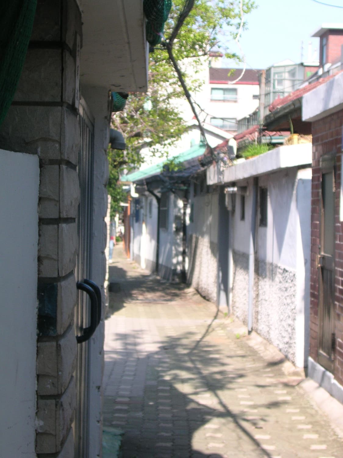니콘 Coolpix 3500 (황조지 카메라, 작례O) 상품이미지7