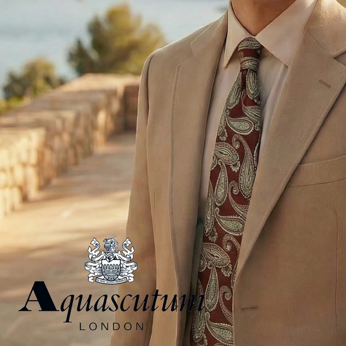 아쿠아스큐텀 실크 브라운 페이즐리 넥타이 9.1cm A+등급 A19453 상품이미지1