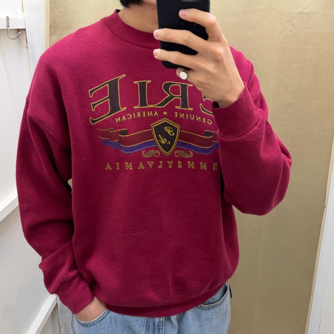 90s 프룻 오브 더 룸 스웻셔츠 상품이미지5