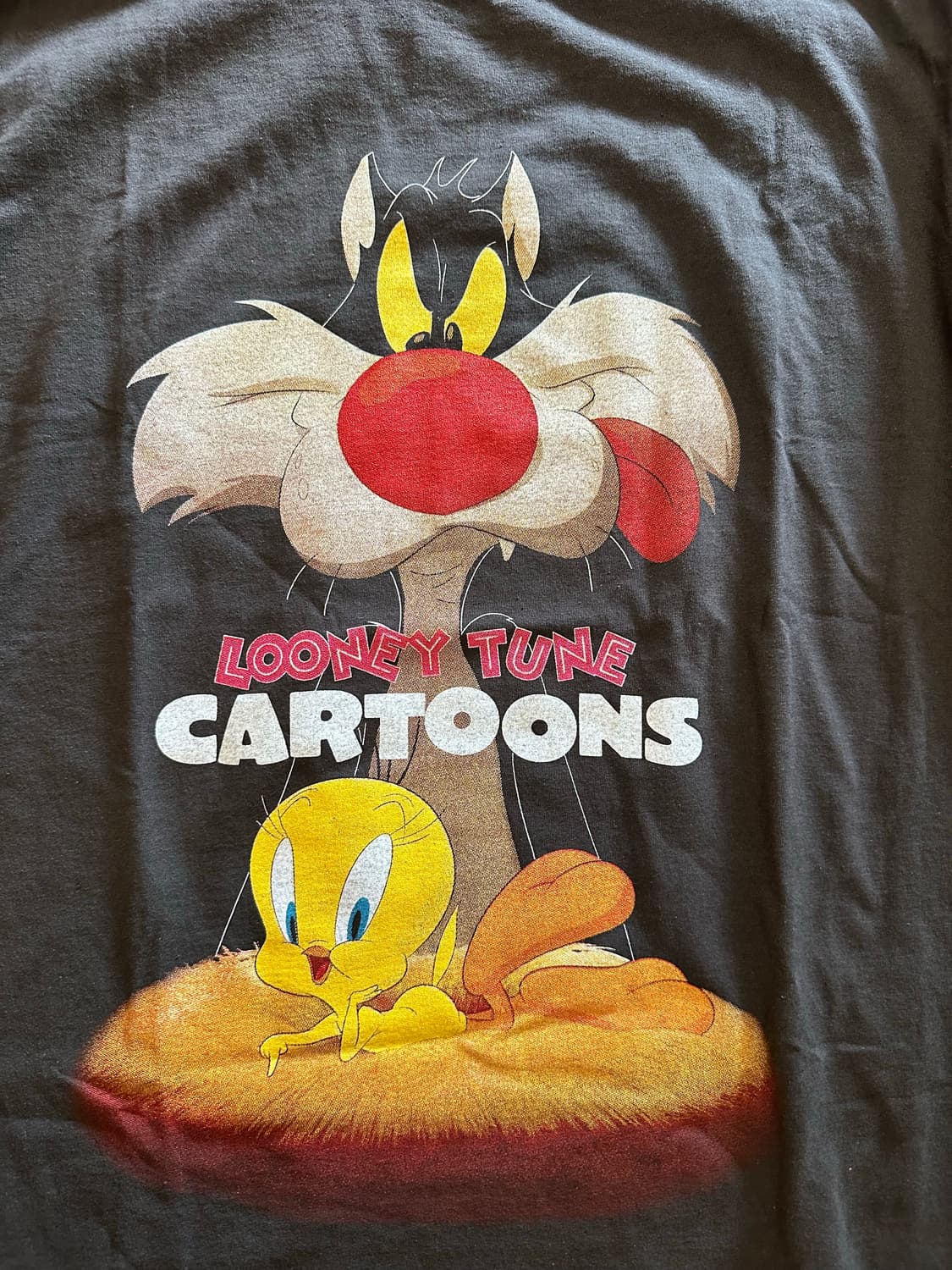 00s Looney tunes 트위티&실베스터 XL 상품이미지2