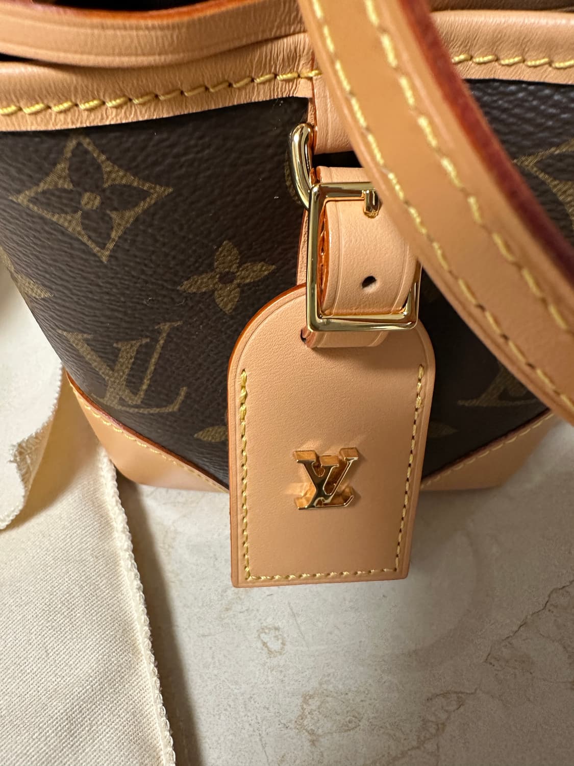 (재당근)루이비통 나노노에 상품이미지4