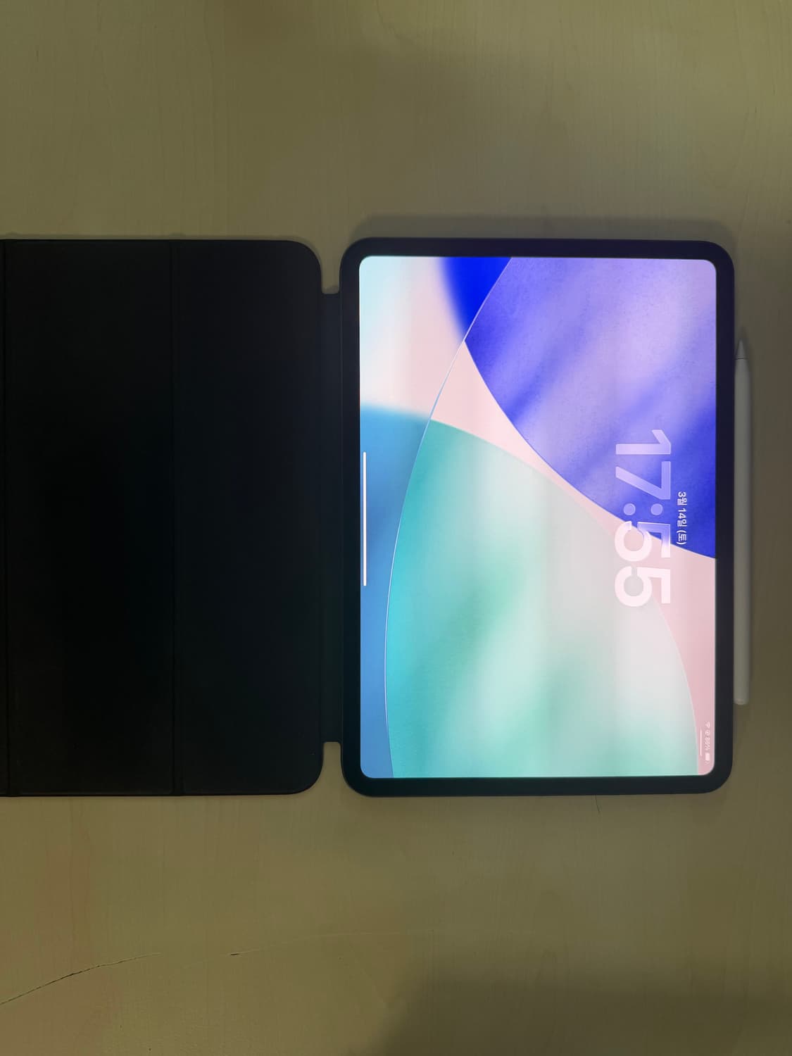 아이패드 프로 11 M4 256GB 상품이미지3