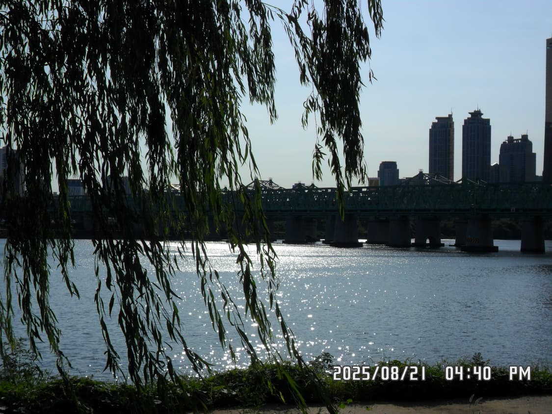 삼성 vluu pl20 판매합니다 상품이미지7