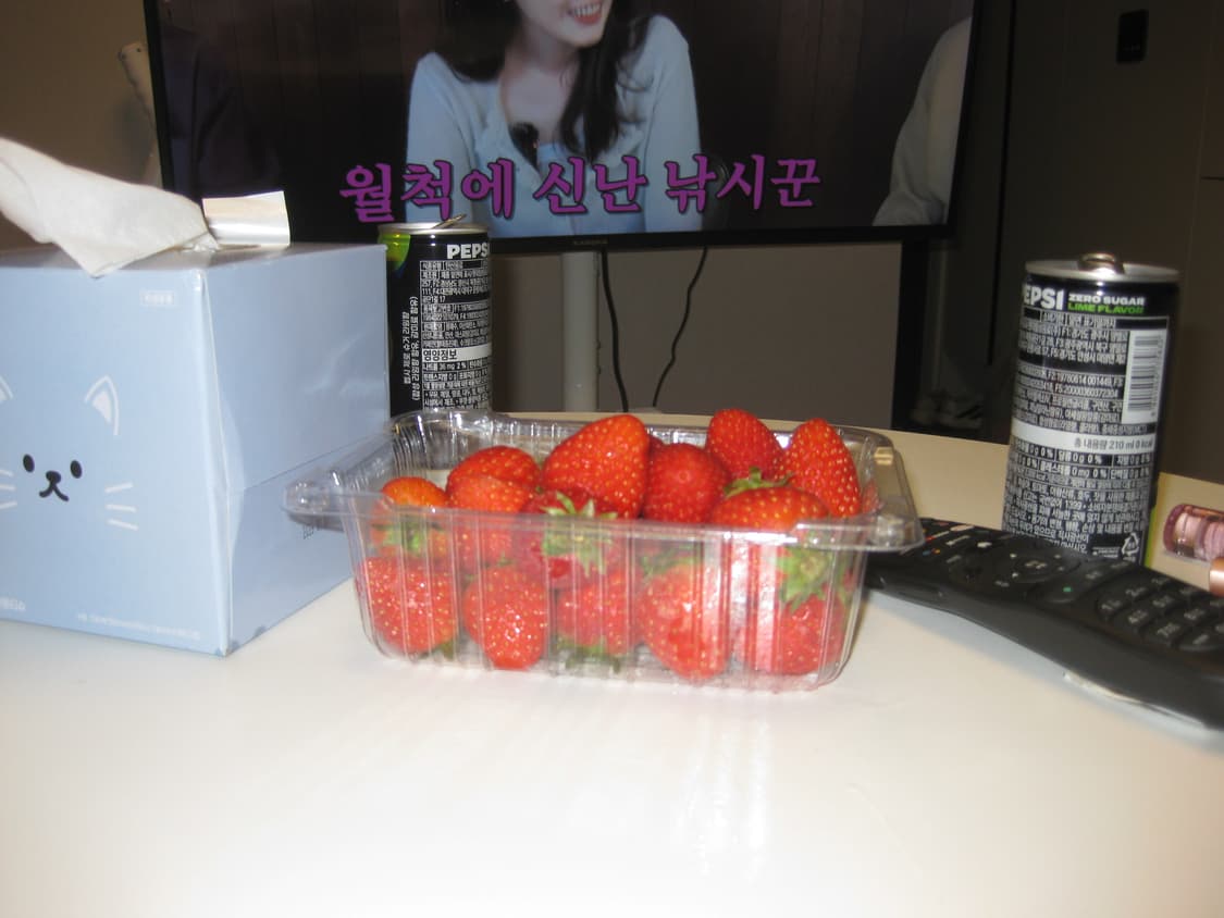 뽀용🤍🤍 캐논 ixus90 ixy95 SD790 상품이미지5