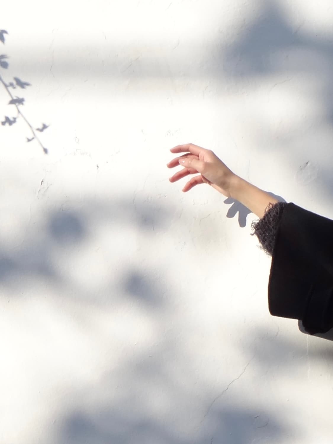 Leopard double side muffler / brown 상품이미지3