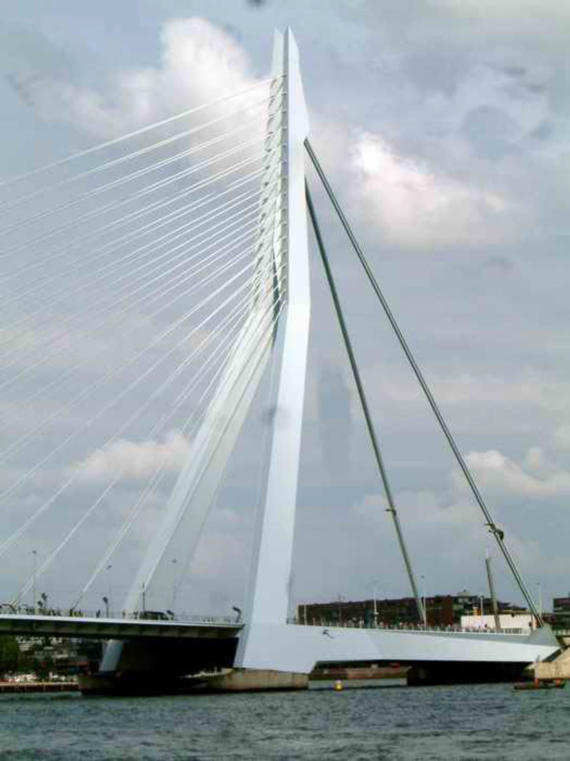 Nikon Coolpix 3100 (니콘 쿨픽스 3100) 상품이미지9