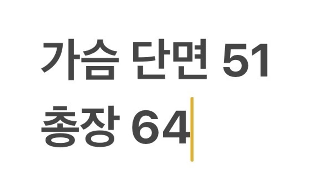 [정품/L] 나이키 써마 핏 ADV 에어로로프트 리펠 다운 러닝 재킷 b 상품이미지8