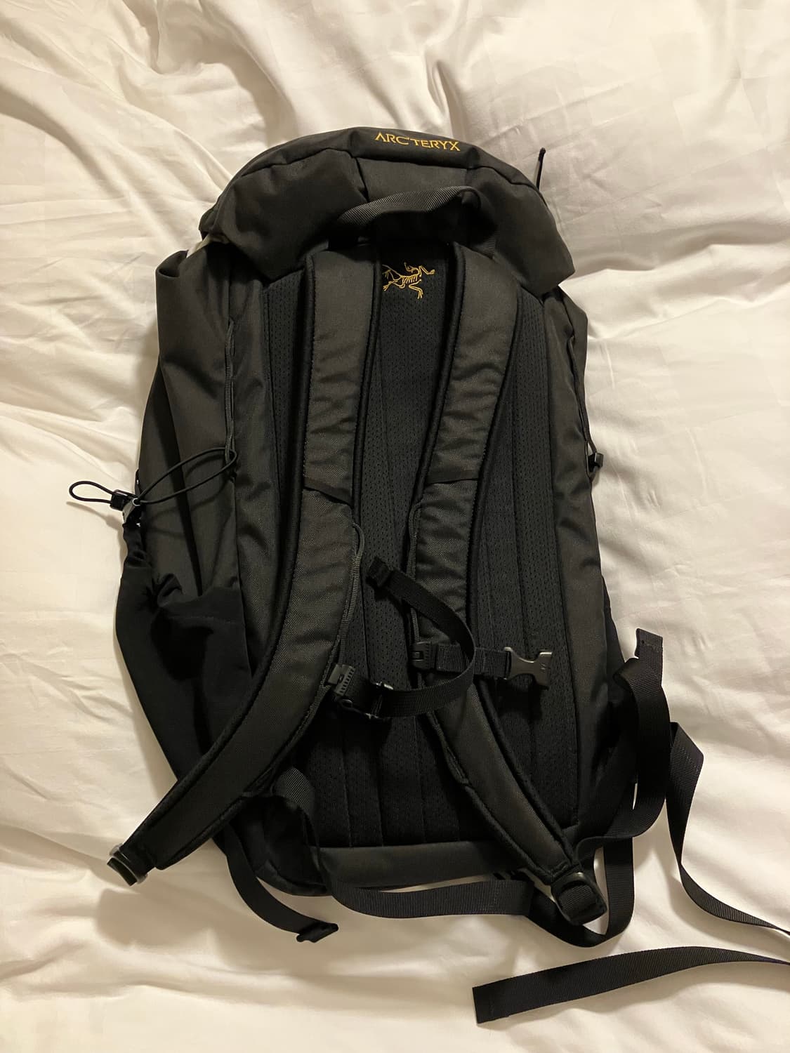 아크테릭스 맨티스 20 상품이미지3