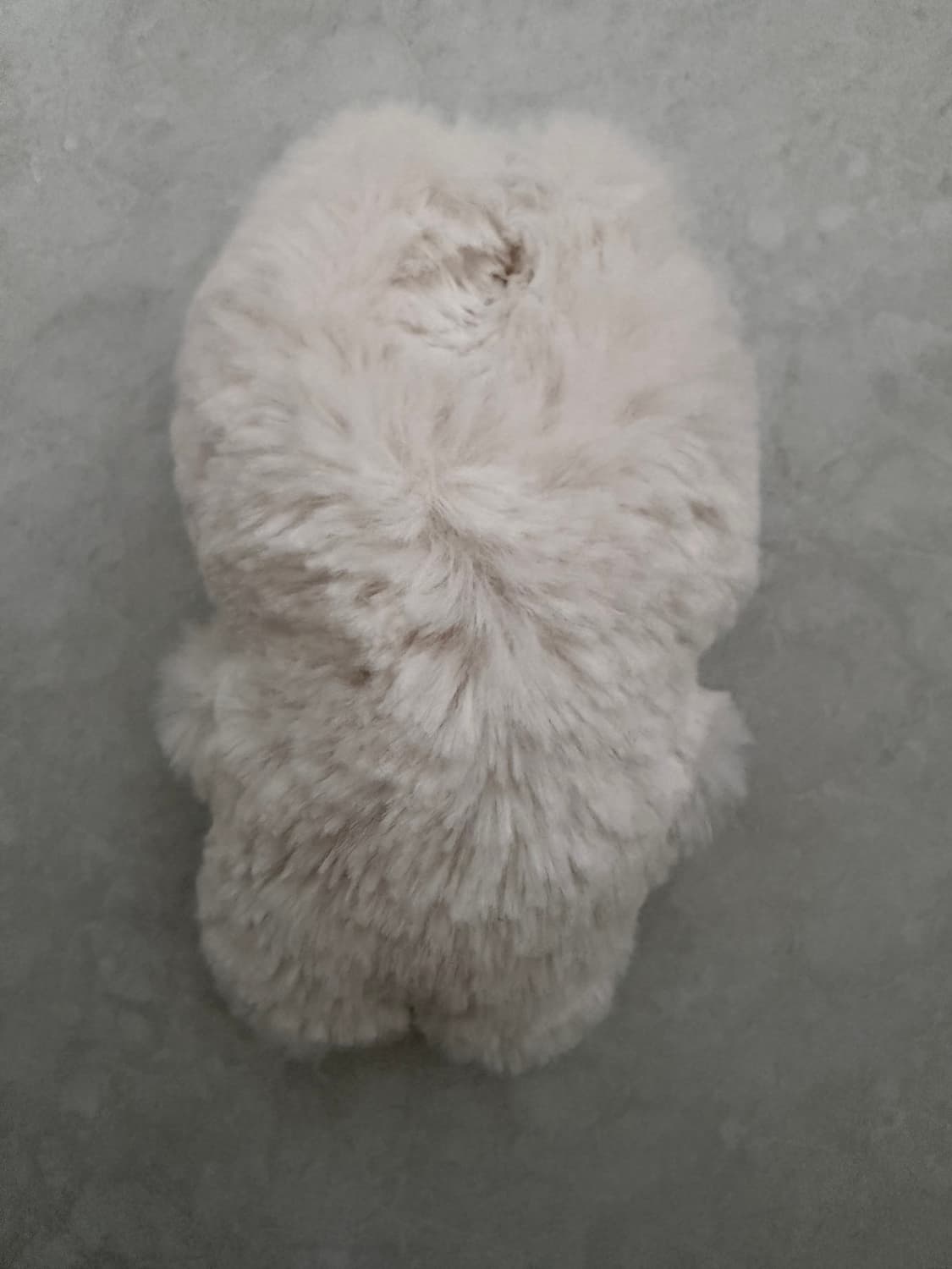 지초이 OG 지토 화이트 상품이미지2