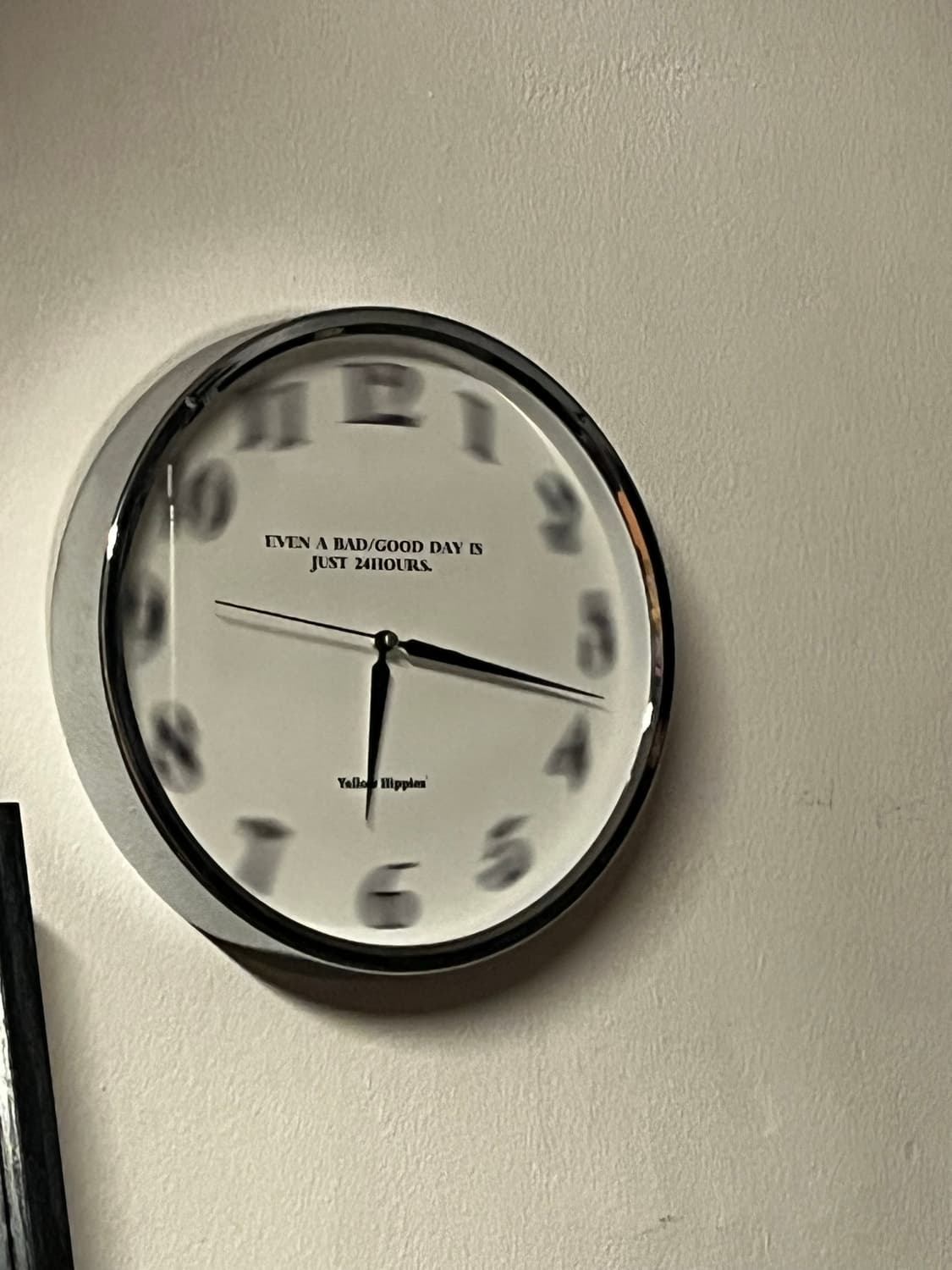 salvador님 개인결제창 상품이미지1