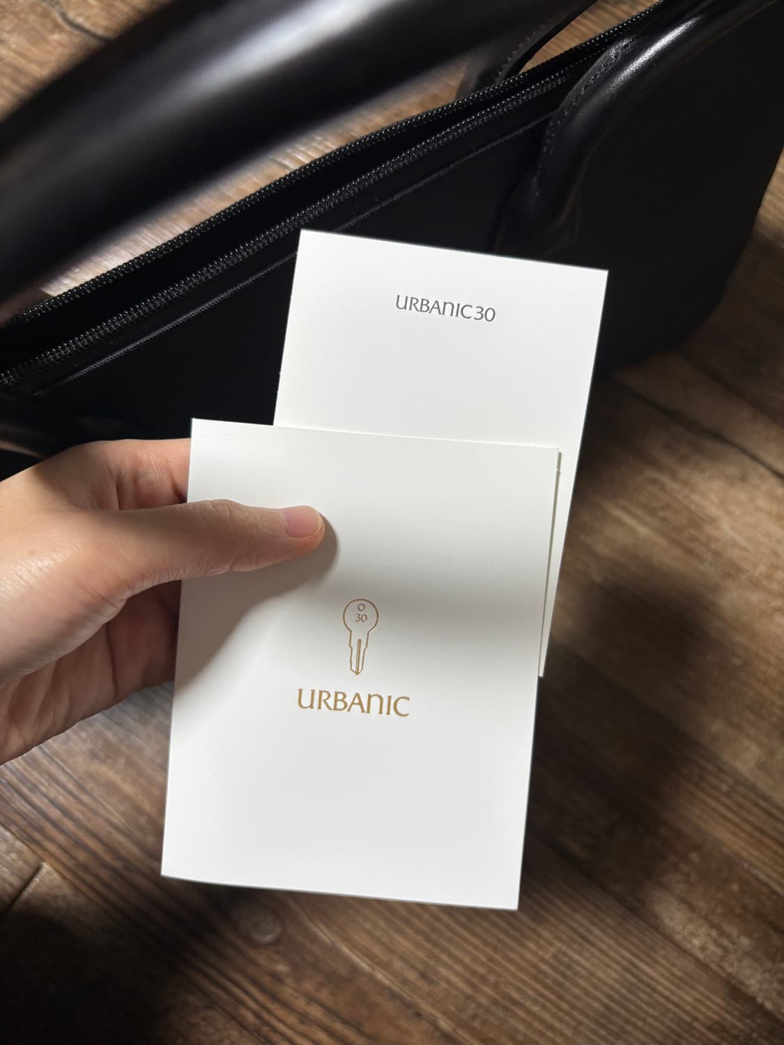 얼바닉30 시테백 상품이미지4