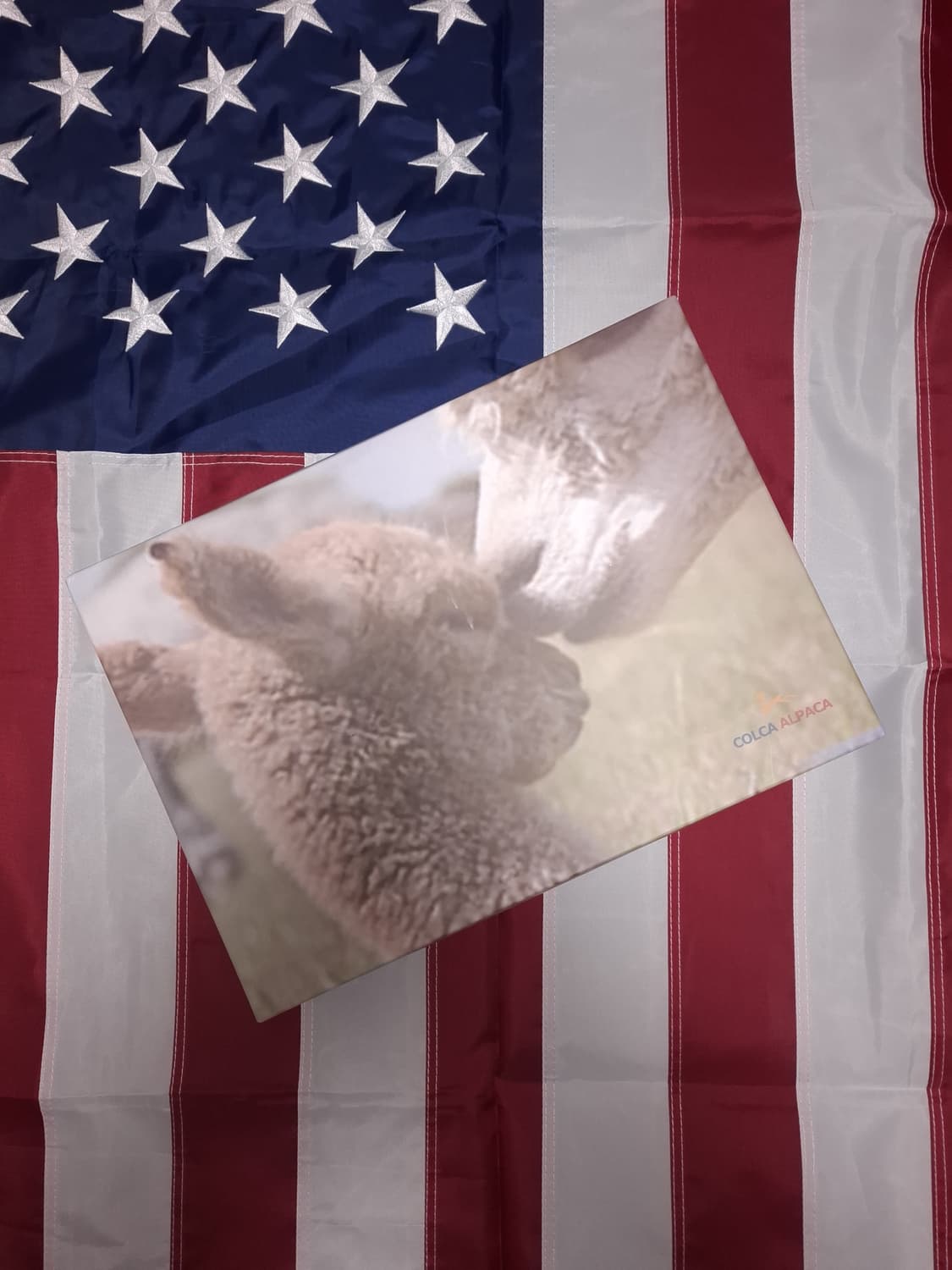 박스 택 새제품 100% 베이비 알파카 머플러 상품이미지1