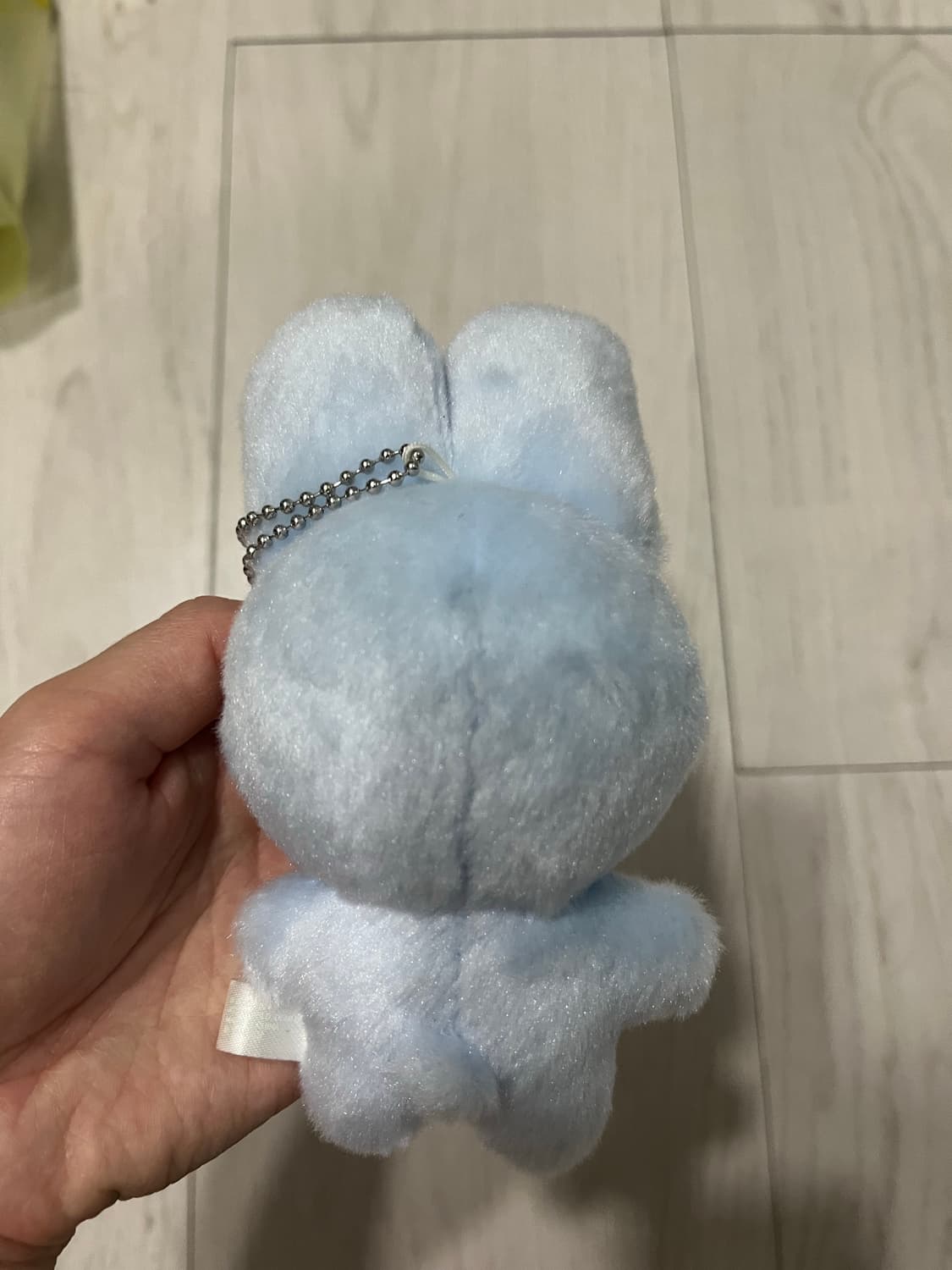 지초이 지토 블루 상품이미지2