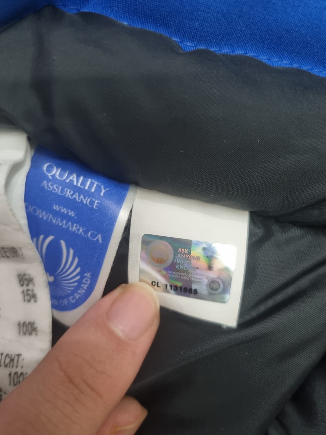 캐나다구스 PBI 익스페디션 로얄블루 상품이미지4