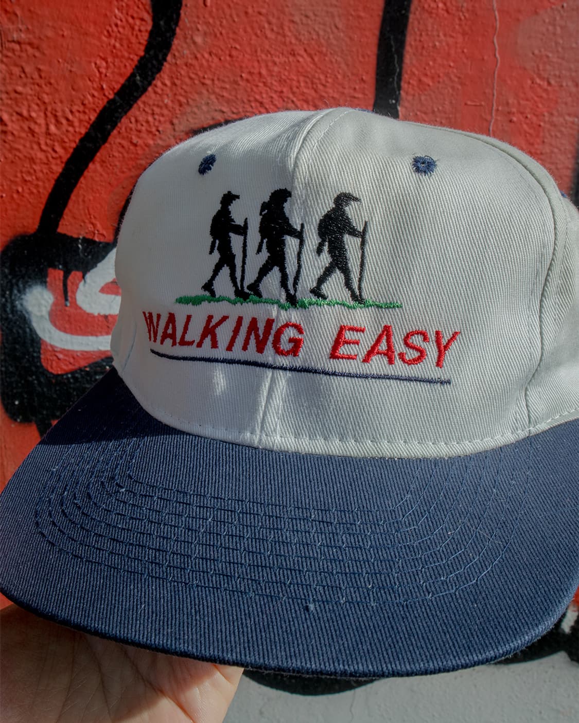 WALKING EASY 투톤 캡 상품이미지2