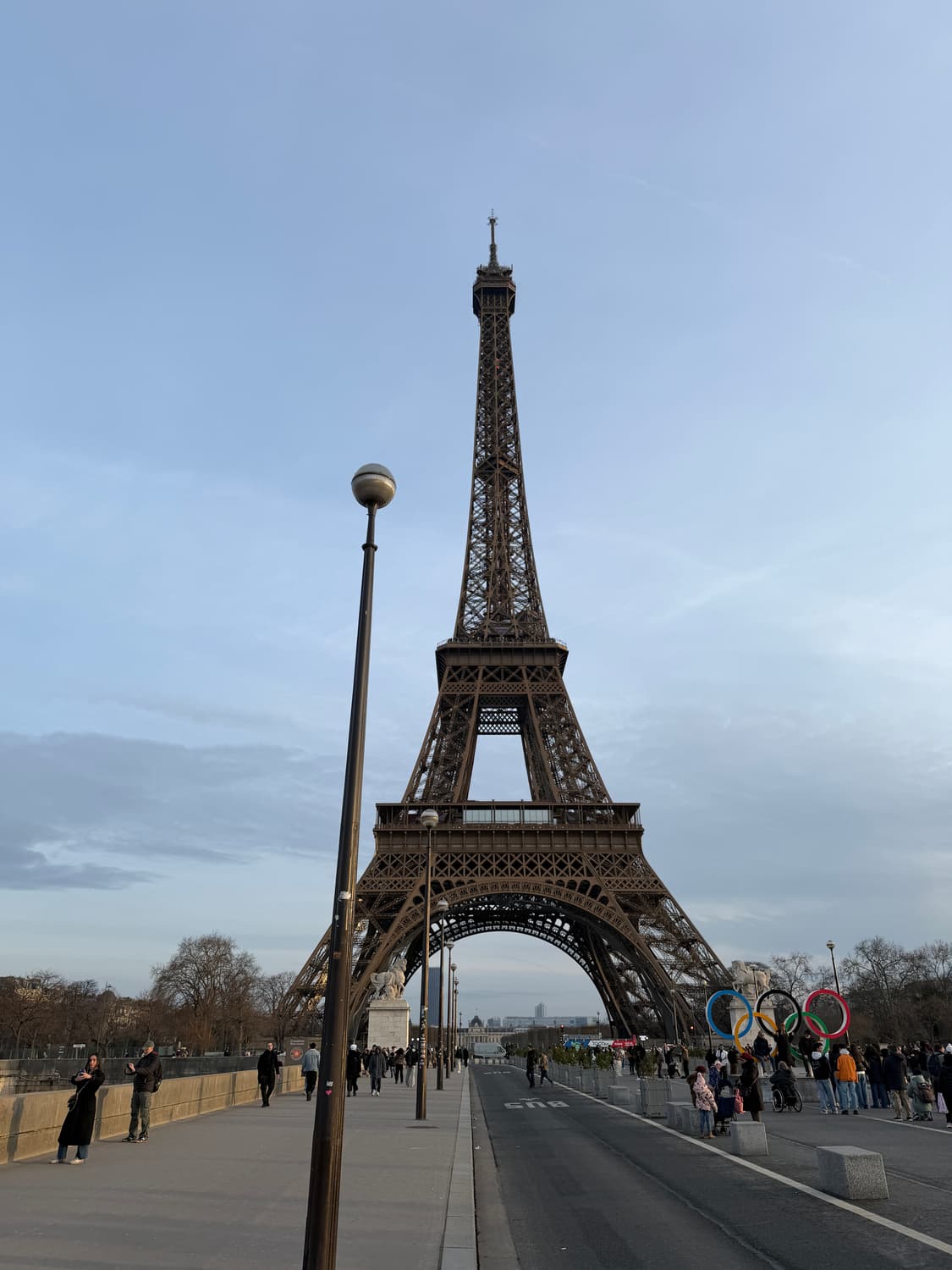 매장 정품) 스투시 파리 반팔티 L 새상품 상품이미지6